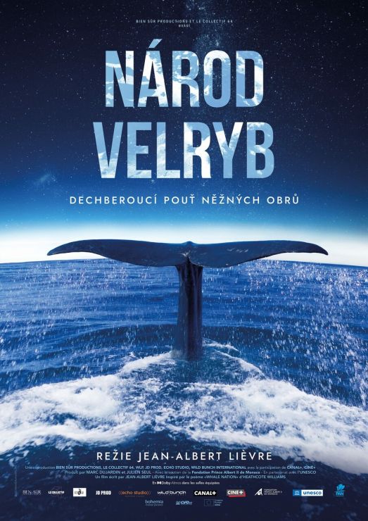 narod velryb a1 nahled min