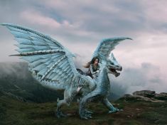 V období Draka a Krokodýla si připomeňte své nejtajnější záměry, radí astrolog