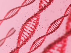 Mezinárodní den DNA: Co všechno o nás dnes prozradí genetika?