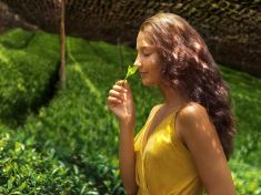 Kvalitní matcha? Poradíme vám jak poznat a vybrat ten správný