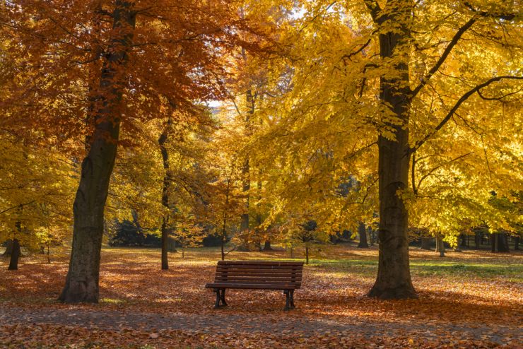 shutterstock 382170190