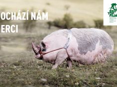 Festival Příběhy země upozorní na největší problémy současnosti