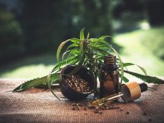 CBD oleje z konopí se uchází o naši pozornost. Není to marihuana