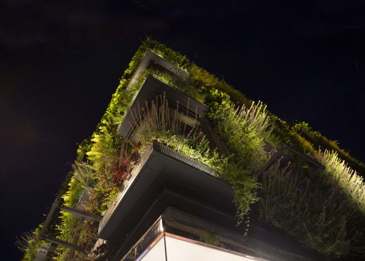 petrstefek regalhouse night