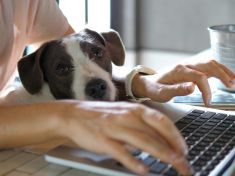 Je home office výhra? Kávu ani teplo za nás doma nikdo nezaplatí