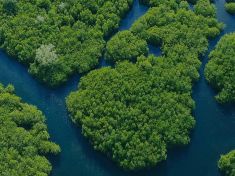 Tech & Sustainability Summit: Změny klimatu jsou globální výzvou, pomoc nabízí moderní technologie