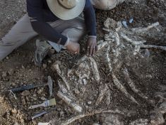 Našli jsme část dinosaura, kterého zabil asteroid, chlubí se vědci. Vzniká dokument