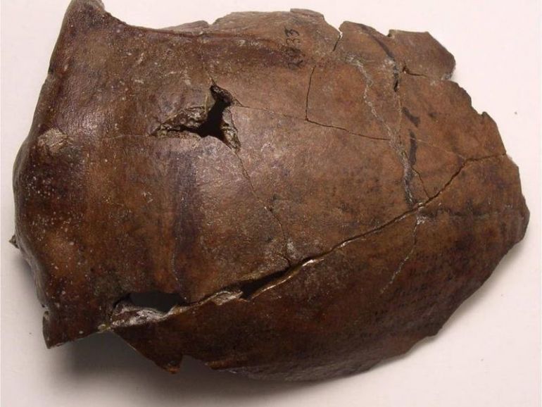 aitape skull