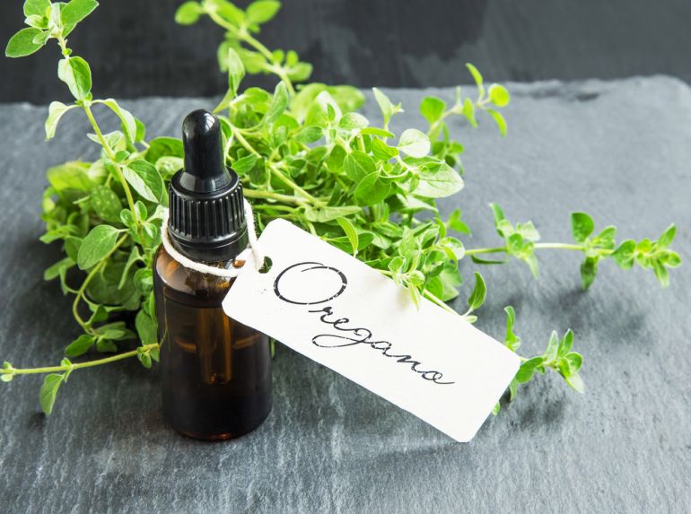 oregano shutterstock 454799359