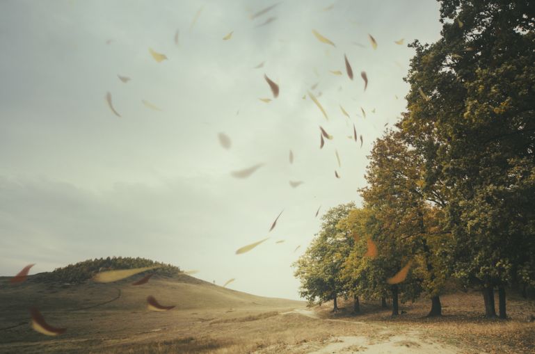 sumeni vetru shutterstock 264960899