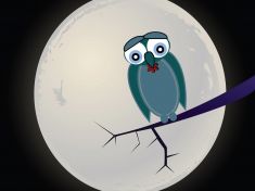 Jste spíš sova, nebo skřivan? Kdo dál doskáče a kdo ráno kvůli spánku pláče