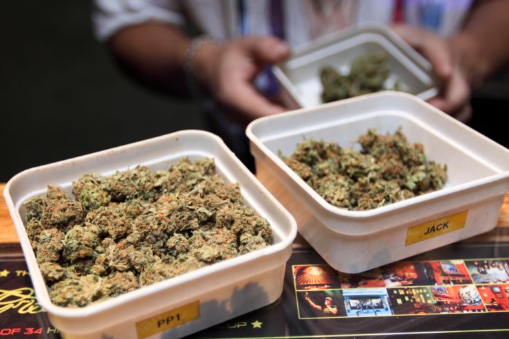 cannabis