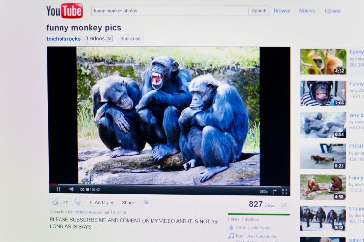 youtube 0108311172