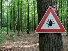 Klíšťová encefalitida: známe riziko, ale přesto se nechráníme 