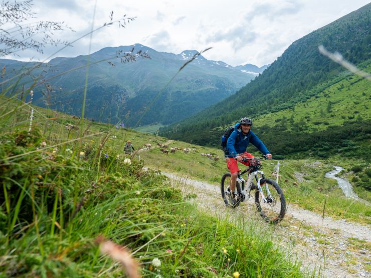livigno kolo