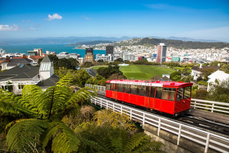 wellington 254848015