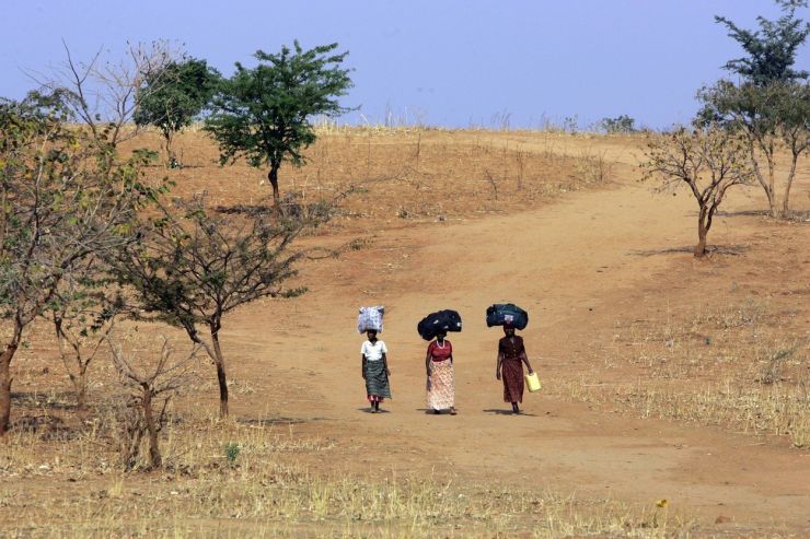 zambia 0082806760