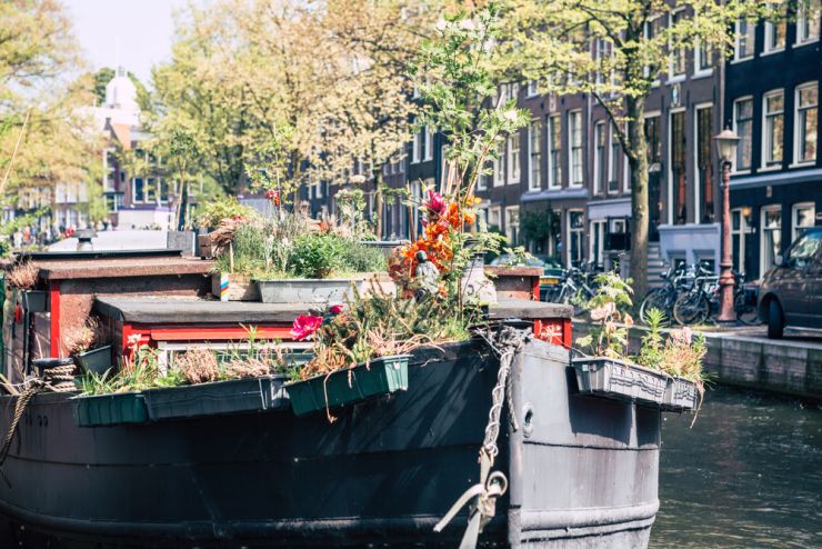 amsterdam 686782423