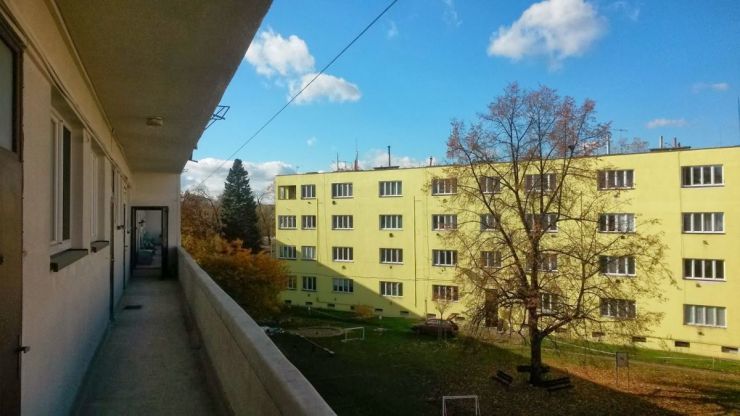 ryska zelena liska