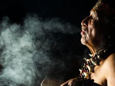 Ayahuasca: halucinogen, který budou používat lékaři?