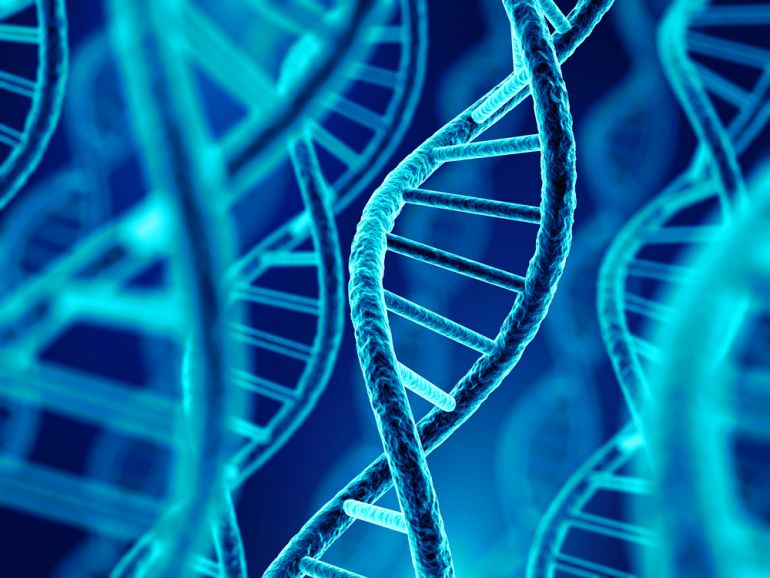dna shutterstock 567712279