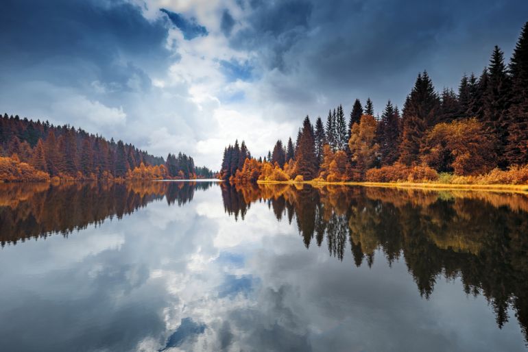 zakazane cesko shutterstock 458377336