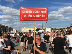 Milion chvilek horkého léta 2