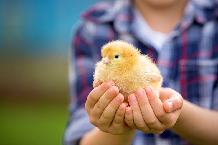 m shutterstock 400723507