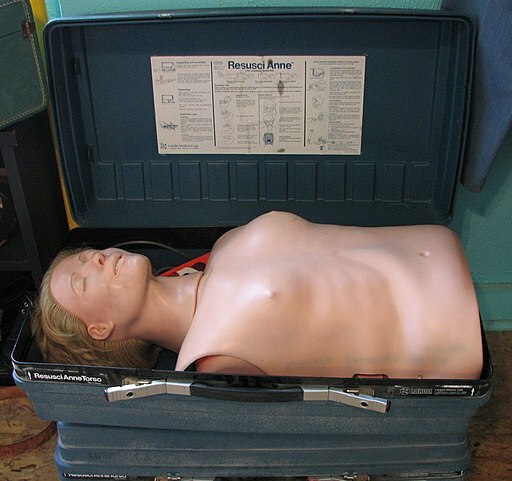 resusci anne cpr dummy