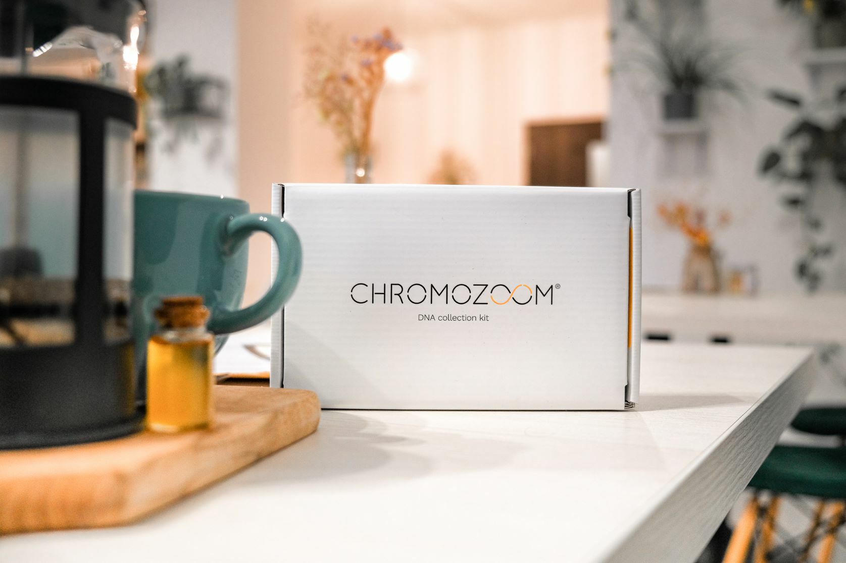 chromozoom