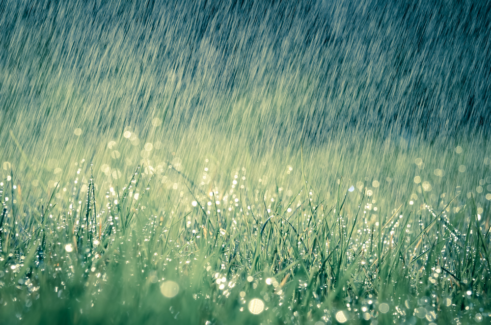 shutterstock 411220273