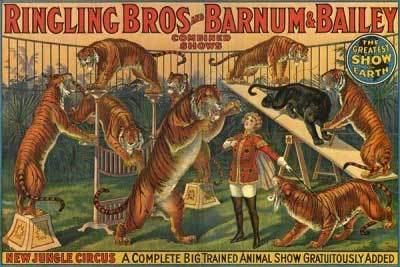 cirkus plakat