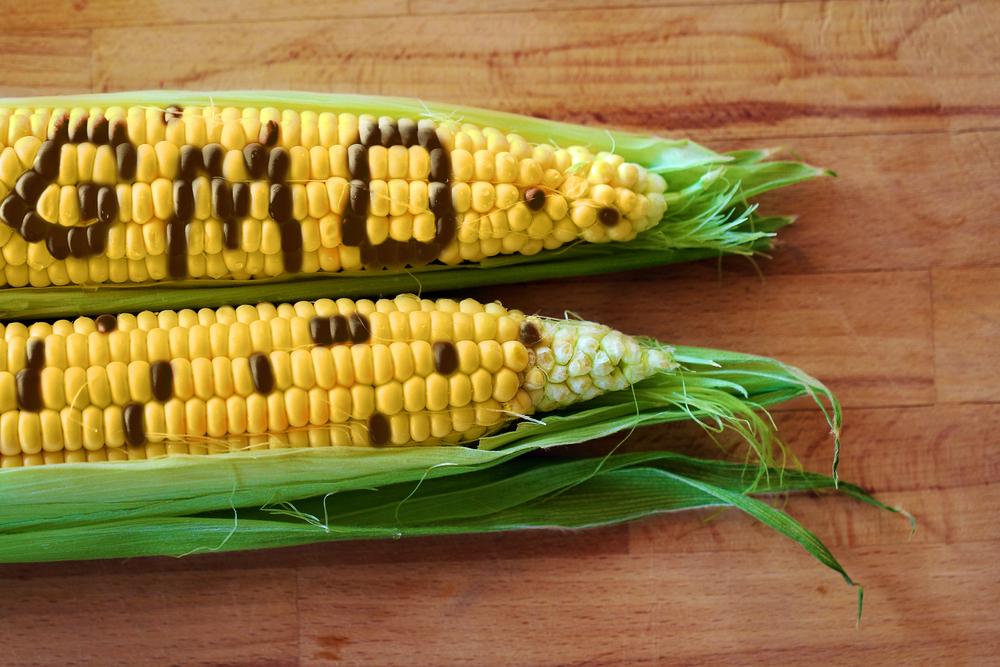 gmo shutterstock 148204901