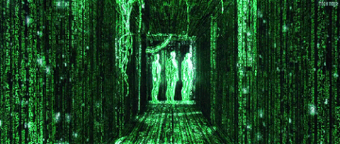 matrix simulace giphy