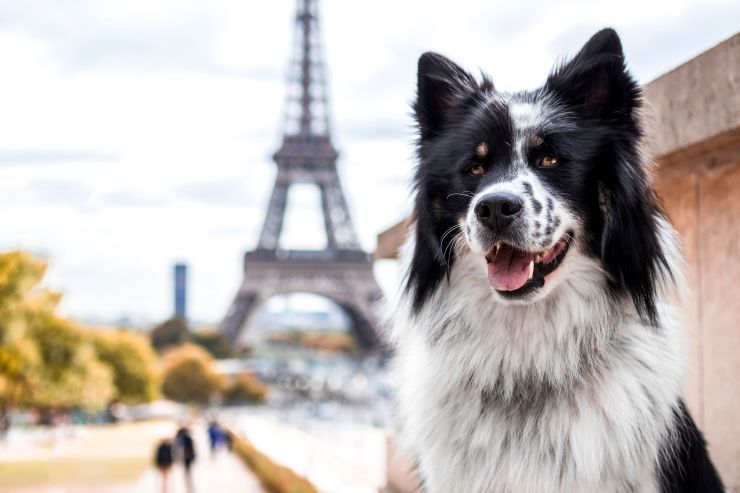 paris shutterstock 1196238013 small