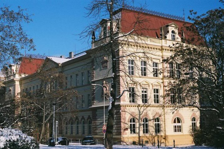plaminkove